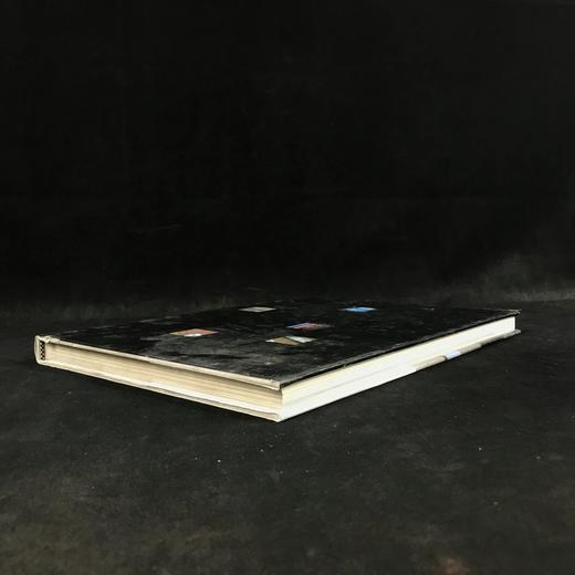 史密斯学院的艺术与艺术史 数百幅插图 精装大16开 商品图2