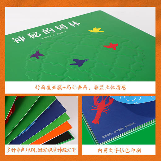 神秘的树林 商品图5