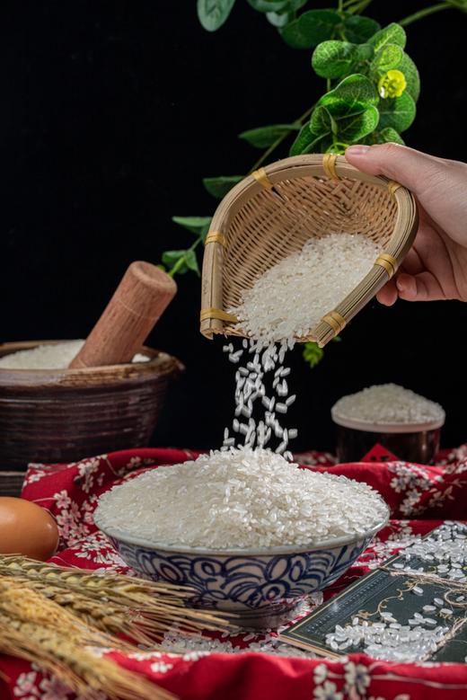 稻花香|五常大米 东北大米（自然香甜 颗粒饱满 高品质大米） 商品图3