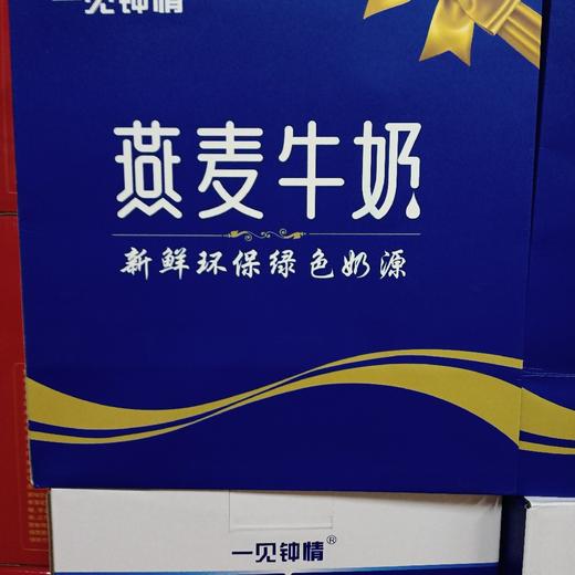 一见钟情燕麦牛奶复合蛋白饮料240ml*12罐 商品图0
