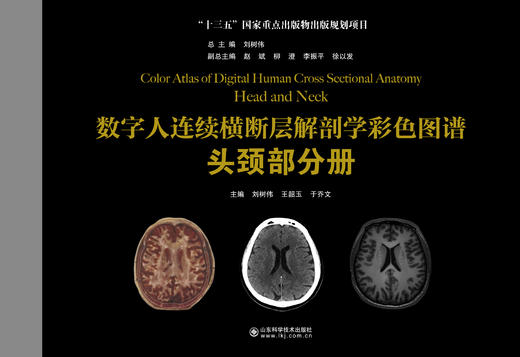 数字人连续横断层解剖学彩色图谱-头颈分册   主编：刘树伟  王韶玉 于乔文   山科出版 商品图0