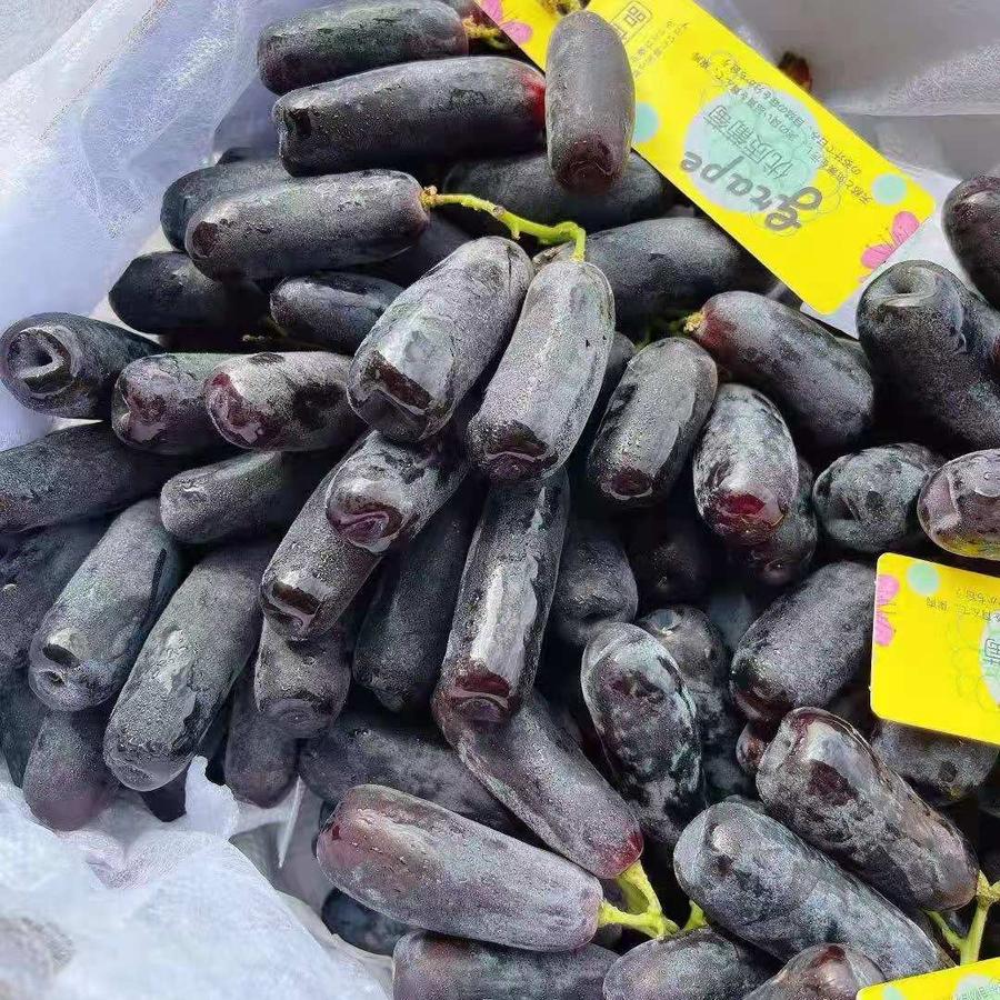 金手指无籽黑提【净重5斤】