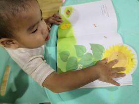 《小鸡球球的大成长》：美好的事物，值得耐心等待