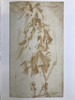 从达芬奇到波洛克：摩根图书馆藏画图集 100幅作品 平装大16开 商品缩略图8