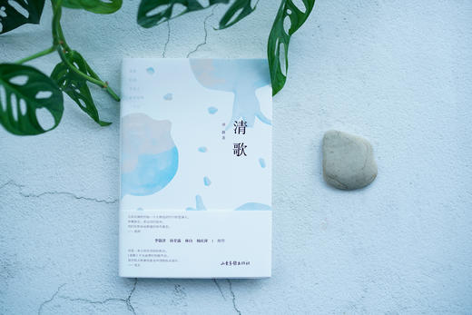 “芳华说”系列：《故事识别》《清歌》《黄蝴蝶》《新贵》 商品图1