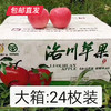 【洛川苹果】24枚装 约10斤（75mm）（产地直发） 商品缩略图7