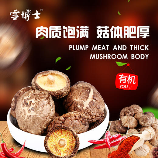 有机香菇90克 来自小兴安岭的美味 商品图0