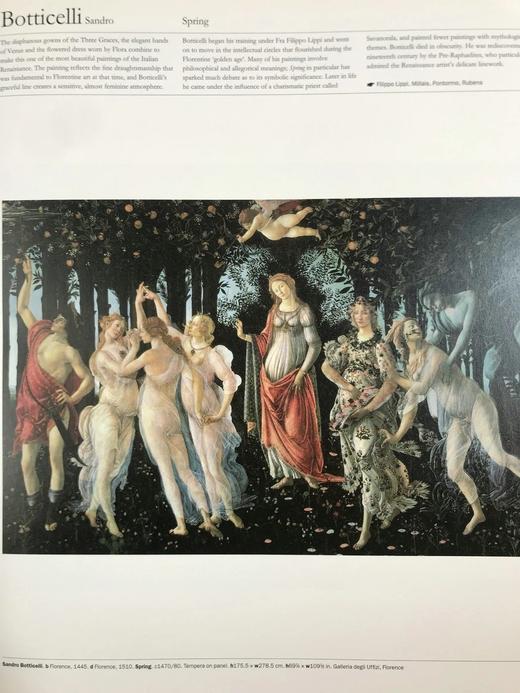 艺术指南 约500幅彩色插图 精装大16开 商品图5