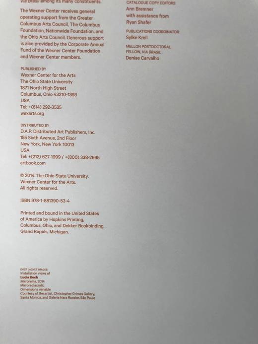 巴西当代艺术图集 约200幅插图 精装大16开 商品图3