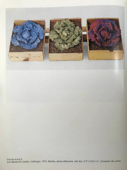 摄影作品收藏者指南 数百幅插图 精装16开 商品图8