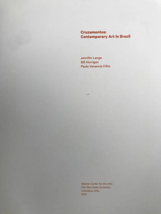 巴西当代艺术图集 约200幅插图 精装大16开 商品图2