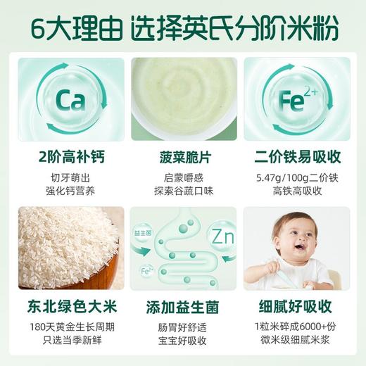 英氏菠菜加铁营养米粉盒装 商品图4