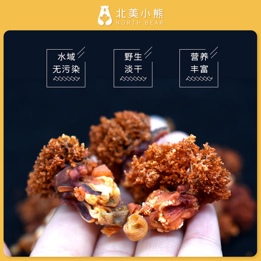 加拿大北极海参花1磅装#宁波仓 商品图4
