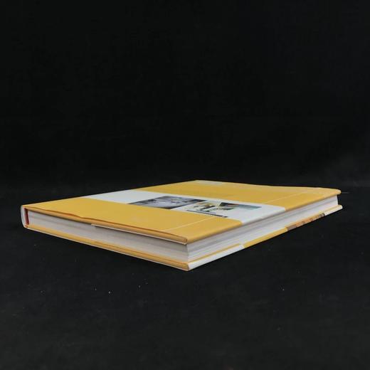 现代主义房屋图集 数百幅插图 精装大16开 商品图2