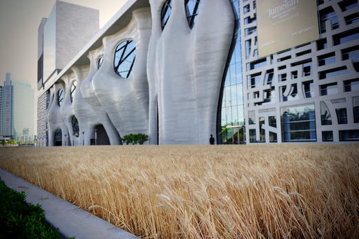 ★春节推荐★￥1099起/晚 打卡【上海喜玛拉雅酒店】 享豪华房+自助早餐+双人除夕自助晚餐~让你度过一个记忆犹新的新年！！有效期2026年2月16日专享~另有中式/西式晚餐套餐可选！ 商品图1