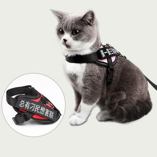 【猫咪牵引绳】防挣脱专用溜猫绳遛猫绳背心式背带项圈栓小猫绳子猫链 商品图1