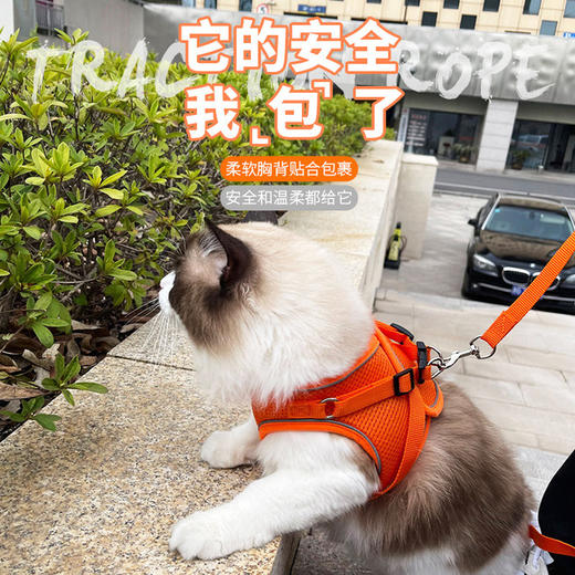 【宠物猫咪牵引绳】背心式胸背带外出猫咪专用防挣脱溜猫绳网格胸背 商品图1