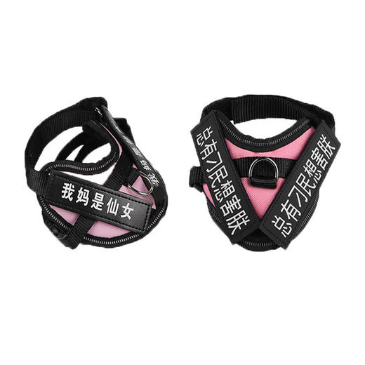 【猫咪牵引绳】防挣脱专用溜猫绳遛猫绳背心式背带项圈栓小猫绳子猫链 商品图3