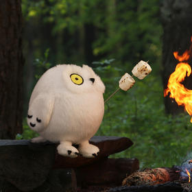 注意啦！插播一条新闻！📢