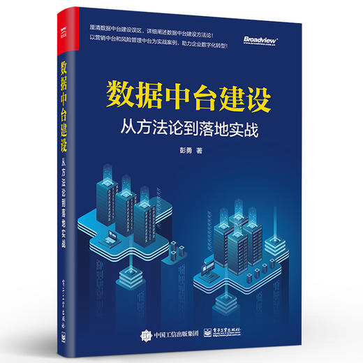 数据中台建设:从方法论到落地实战 商品图1