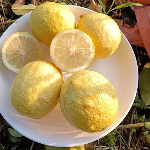 丨有机丨柠檬 3斤 5斤装 商品图0