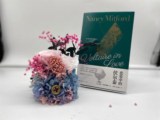恋爱中的伏尔泰 南希 米特福德 著 历史英国历史人物传记通俗读物 另著腓特烈大帝 太阳王凡尔赛宫的路易十四 商品图3