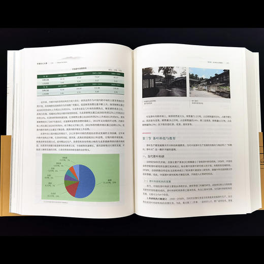 中国茶文化学（著名茶文化专家姚国坤教授集大成之佳作） 商品图4