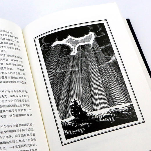 白  鲸 赫尔曼 麦尔维尔 著 外国文学小说 商品图2