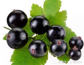 群团团测试商品2