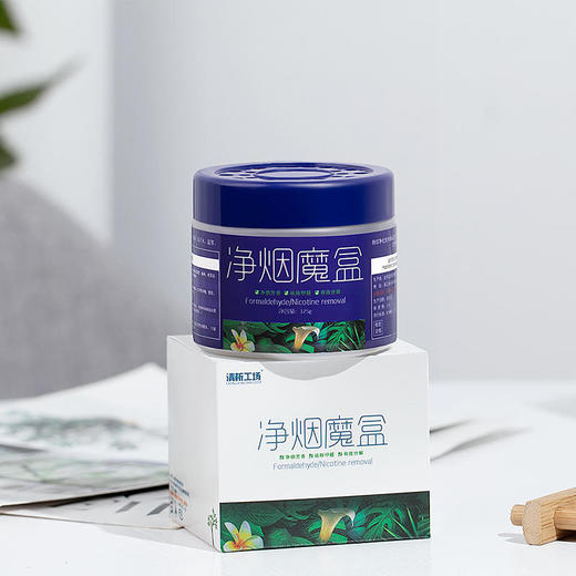 【给家清新的环境】清析工场空气净烟魔盒净化空气吸附甲醛除醛祛味 商品图4