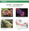 Organika 有机灵芝胶囊  特惠装一瓶360粒 美国代购，无中文标签，介意慎拍 商品缩略图7