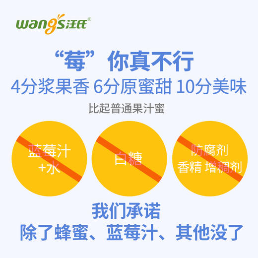 汪氏蜂蜜蓝莓蜜12g*7袋/盒独立小包袋装勺型便携蜂蜜（内部活动） 商品图7