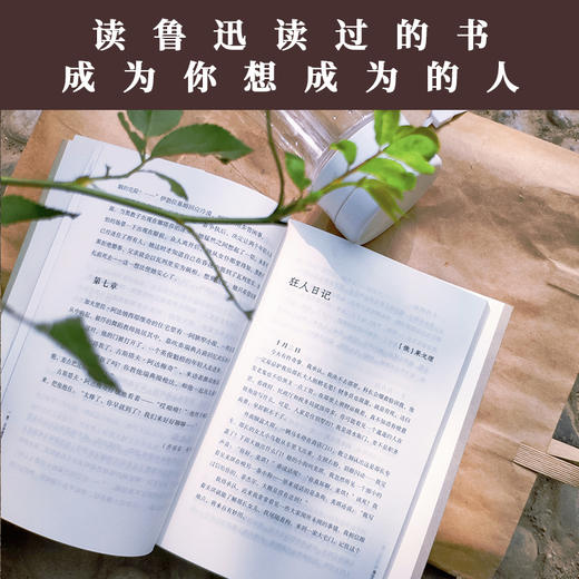 《他山之石：鲁迅读过的百来篇外国作品》 商品图3