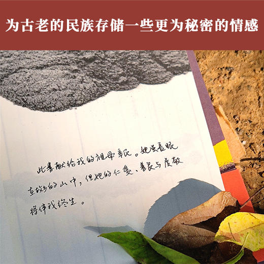 《歌声响处是吾乡》 商品图5