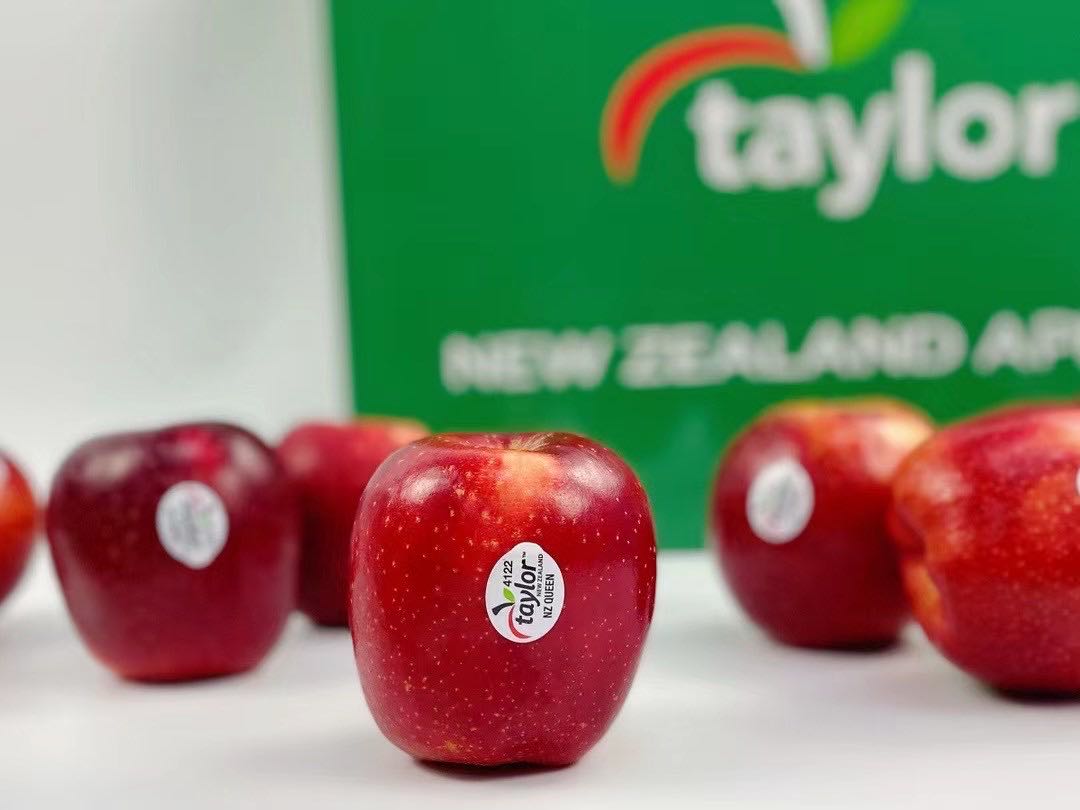 taylor新西兰红玫瑰苹果12枚礼盒装新鲜queen苹果水果脆甜单果约160g