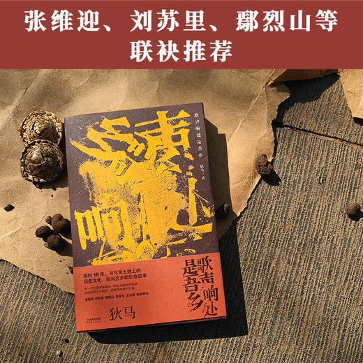 《歌声响处是吾乡》 商品图1