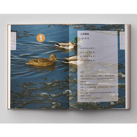 中华古诗文经典读本二年级(上)（下）2册 注释版 小学生课外阅读书籍 6-7-8-9-10-12岁中国儿童文学读物