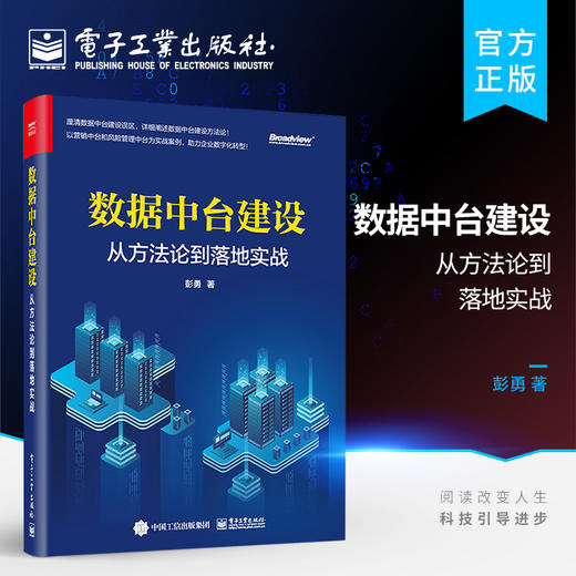 数据中台建设:从方法论到落地实战 商品图0