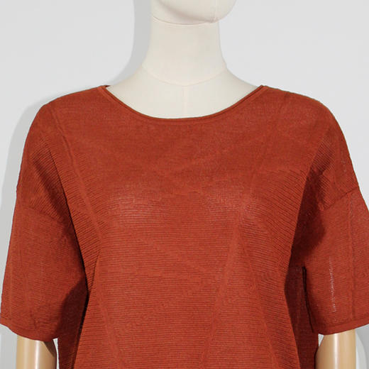 FOCALS福柯斯女装秋季新款圆领短袖套头上衣针织衫FYJ2T138JT 商品图3