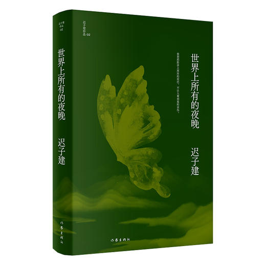 世界上所有的夜晚 商品图0
