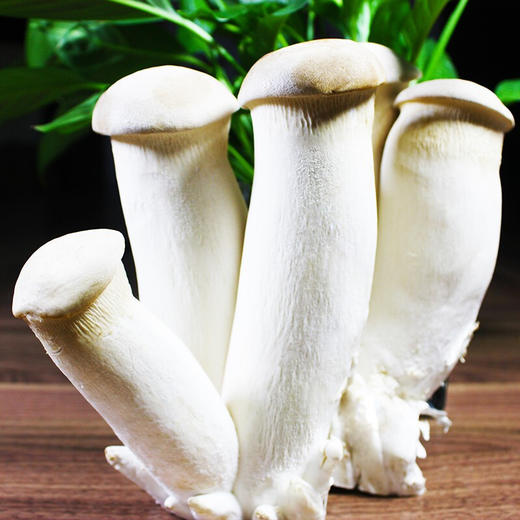 洗衣服 商品图0