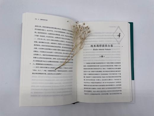 恋爱中的伏尔泰 南希 米特福德 著 历史英国历史人物传记通俗读物 另著腓特烈大帝 太阳王凡尔赛宫的路易十四 商品图1