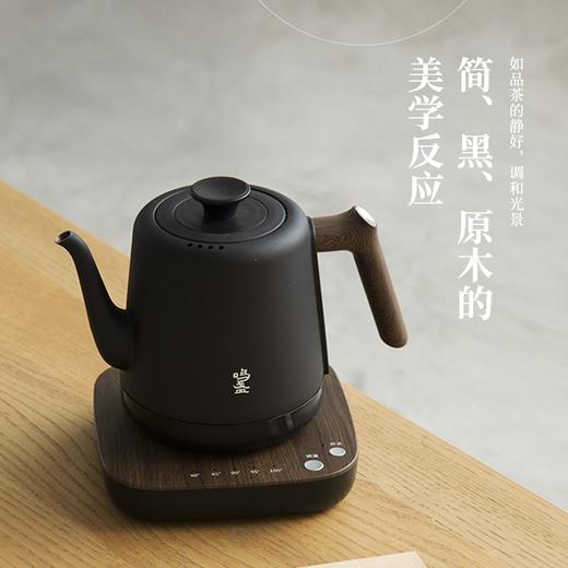 鸣盏手冲壶英国strix温控器家用咖啡手冲泡茶长嘴多段控温电水壶不锈钢防干烧自动断电茶壶 MZ152 商品图1