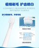 松下儿童电动牙刷刷头（EW-DM31适用） 商品缩略图5