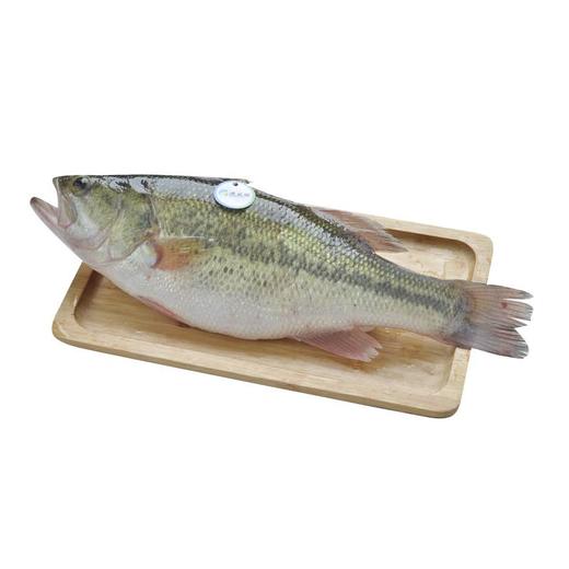 通威加州鲈鱼 约400g/条 商品图0