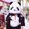 大熊猫（人偶） 商品缩略图0