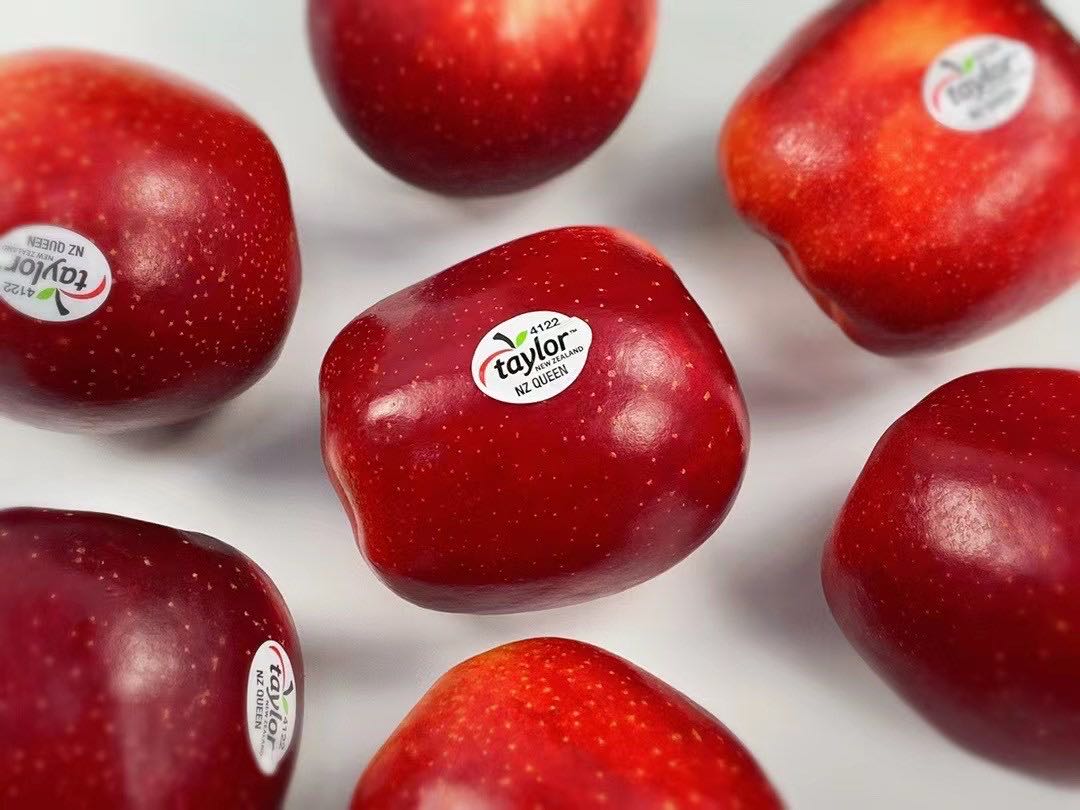 taylor新西兰红玫瑰苹果12枚礼盒装新鲜queen苹果水果脆甜单果约160g