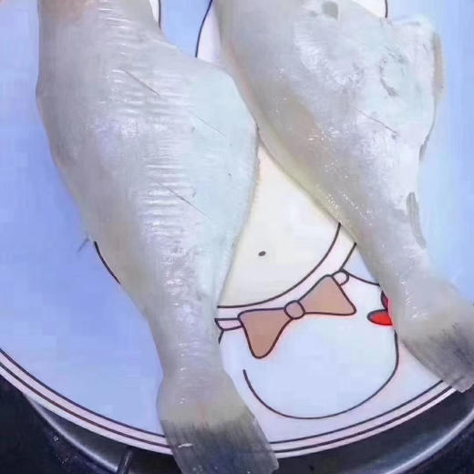 【特级深海扒皮鱼】看着就有食欲，全是干冰冷冻新鲜高品质，招牌菜红烧扒皮鱼，清蒸油炸都可以，老人宝宝都特别爱 商品图1