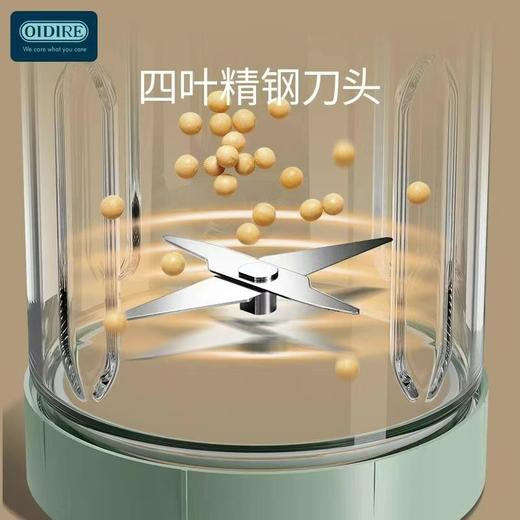 德国OIDIRE（奥帝尔）豆浆机 商品图1