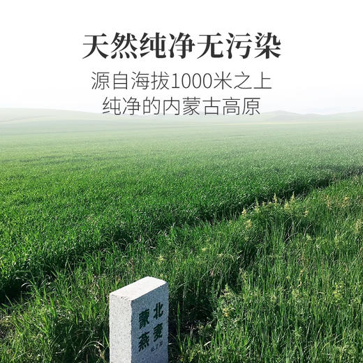 【 双重有机认证 】蒙北·有机燕麦片   700g*1桶 商品图3